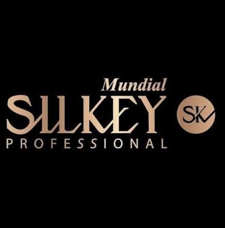 logo silkey